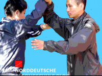 norddeutscheqigongschule.com Webseite Vorschau