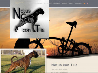notus-con-tilia.de Webseite Vorschau