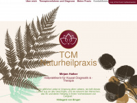 tcm-naturheilpraxis-haiber.de Thumbnail