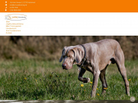 hundeerziehung-hundetraining.de Webseite Vorschau