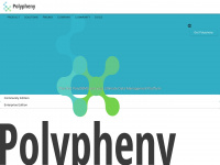 polypheny.com