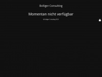 bolligerconsulting.ch Webseite Vorschau