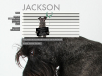 jackson-der-hund.de Webseite Vorschau