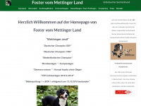 foster-vom-mettinger-land.de Webseite Vorschau