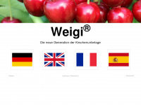 weigi.com Webseite Vorschau