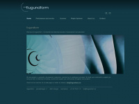 flugundform.ch Webseite Vorschau