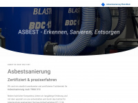 asbestsanierung-rheinmain.de Webseite Vorschau