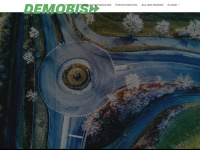 demobis.de Webseite Vorschau