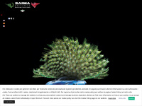 saimameccanica.com Webseite Vorschau