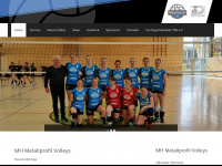metallprofil-volleys.de Webseite Vorschau