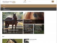 pferd-reiter-pony.de Thumbnail