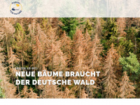 baeume-pflanz-en.de Webseite Vorschau