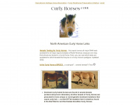curlyhorses.com Webseite Vorschau