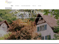 synergy-village.org Webseite Vorschau