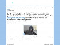 grosspudel-info.de Webseite Vorschau