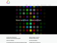 vision-and-brain.com Webseite Vorschau