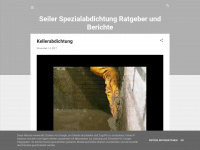 seilerspezialabdichtungratgeber.blogspot.com Webseite Vorschau