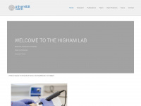 highamlab.univie.ac.at