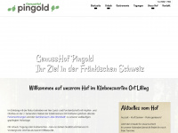 pingold.de Webseite Vorschau
