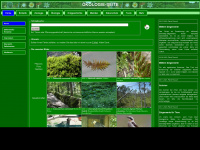 oekologie-seite.de Webseite Vorschau