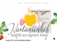 kastanienhof-mainz.de Webseite Vorschau