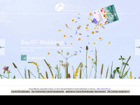 baysf-waldshop.de Webseite Vorschau
