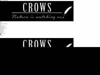 crows.film Webseite Vorschau