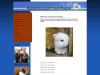 kaninchenzuchtwagner.de Webseite Vorschau