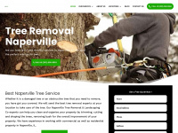 napervilletreeremovallandscapingsnow.com Webseite Vorschau