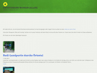 gruene-winsen-aller.de Webseite Vorschau