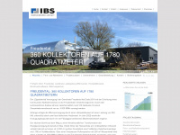ibs-ing.com Webseite Vorschau