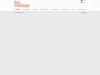 birgidsteinberger.com Webseite Vorschau