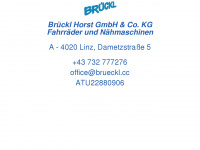 brueckl.cc Webseite Vorschau