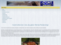 pferdetraining-mooslechner.de Webseite Vorschau