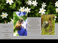 willis-wildbienenstand.de Webseite Vorschau