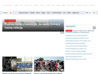 petronews.pl Webseite Vorschau