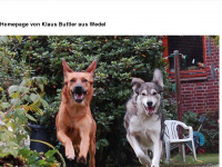 buttler.org Webseite Vorschau