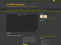 stress.ws Webseite Vorschau