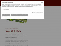 Welshblack-ammerland.de