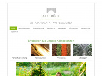 salzbruecke.com Webseite Vorschau