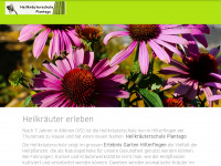 heilkraeuterschule.ch Webseite Vorschau