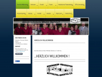 akkordeon-orchester-mitteltal-obertal.de Webseite Vorschau
