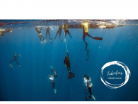 fabiolous-freediving.com Webseite Vorschau