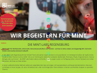 mint-labs-regensburg.de Webseite Vorschau