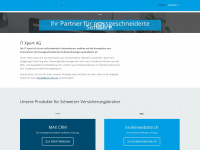 itxpert.ch Webseite Vorschau