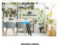 dreamflowers.shop Webseite Vorschau