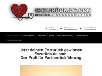 exzurueck.de.com Webseite Vorschau