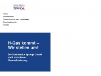 Erdgasumstellung-stadtwerke-springe.de