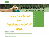 chub-kanene.at Webseite Vorschau