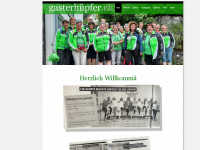 gasterhuepfer.ch Webseite Vorschau